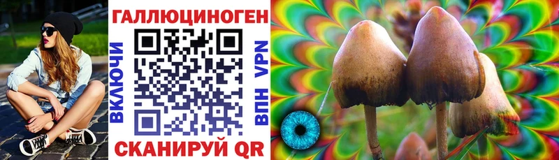 Псилоцибиновые грибы Psilocybine cubensis  Кыштым 