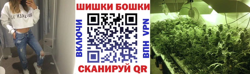 mega как войти  Кыштым  Конопля Amnesia  наркота 